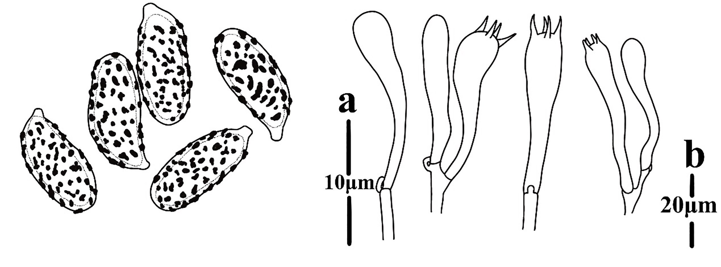 Figure 114